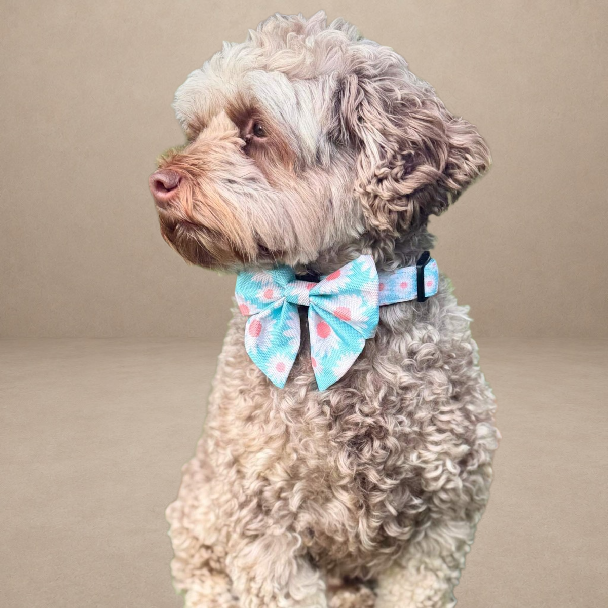 Dog Sailor Bow - Pastel daisy