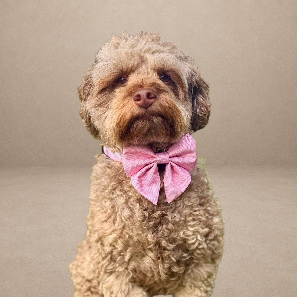 Dog Sailor Bow - Pastel Pink