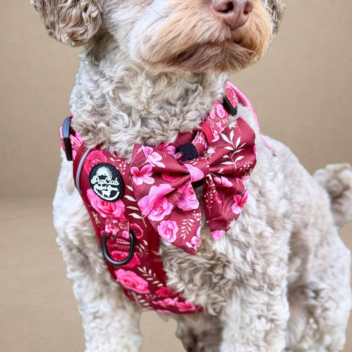 Dog Sailor Bow - Burgundy Bloom