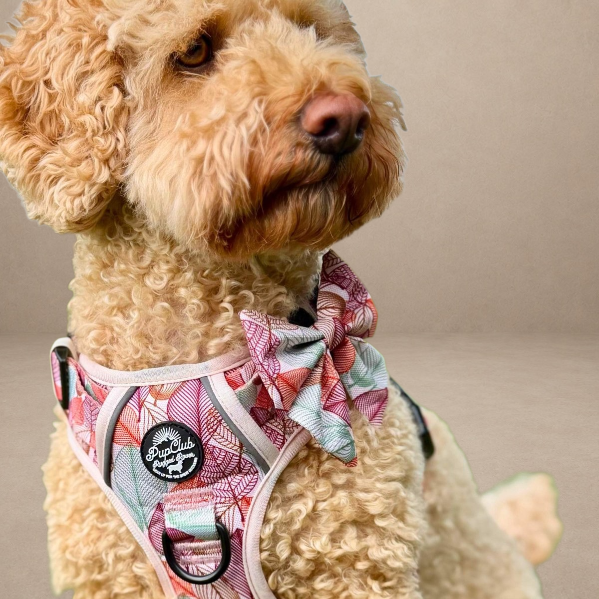 Dog Sailor Bow - Autumn Breeze