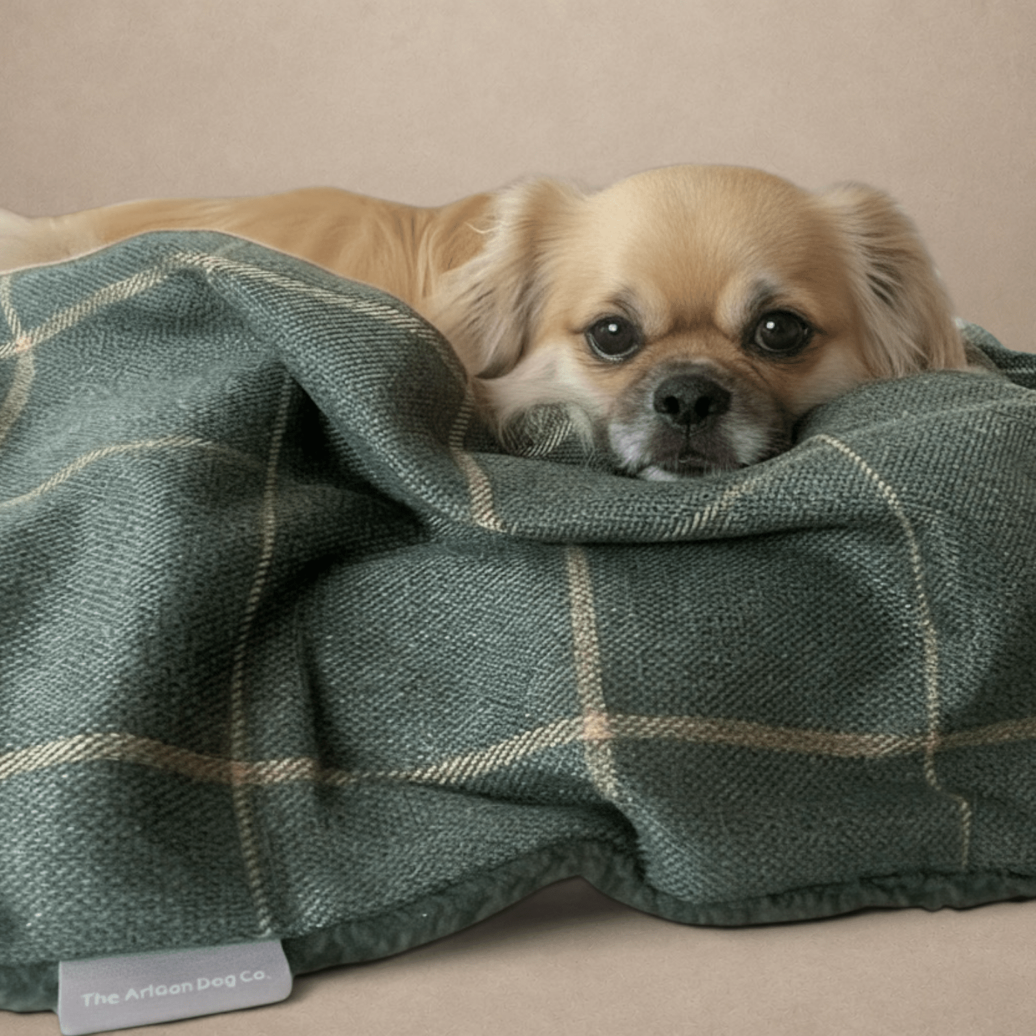 Arlo Forest Green Check Pet Blanket | Reversible Lambswool Sherpa | Handmade Luxury Dog Throw | Machine Washable UK