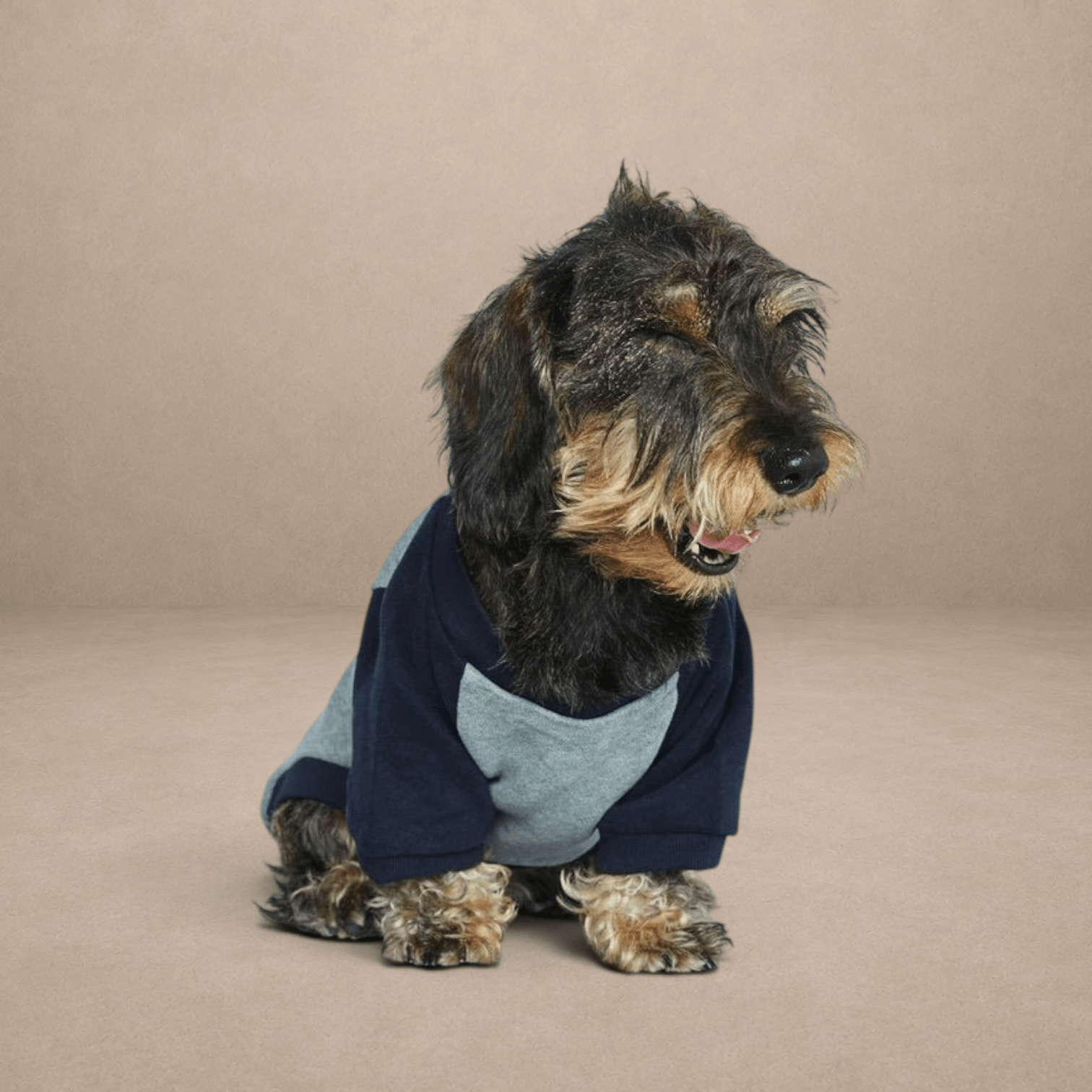 Blinky Jumper