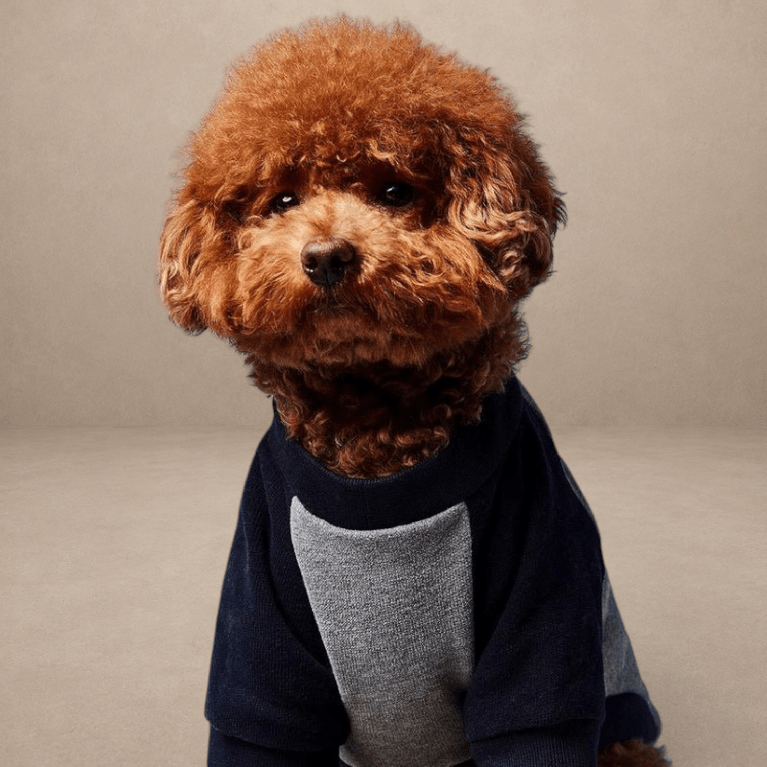 Blinky Jumper