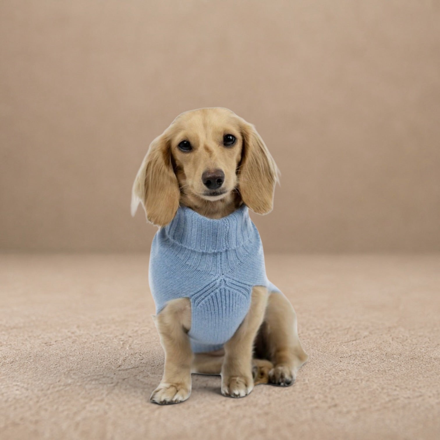 Blue Cashmere Plain Dog Jumper
