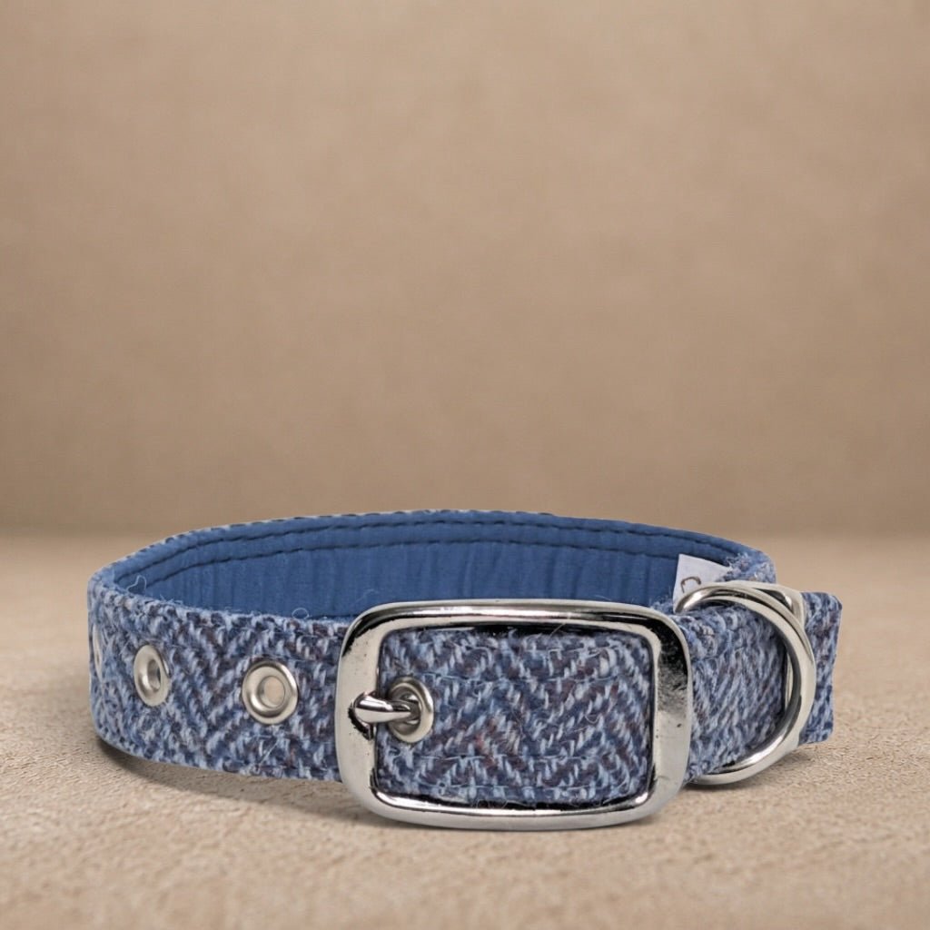 Blue Herringbone - Buckle Fastening Luxury Harris Tweed Dog Collar
