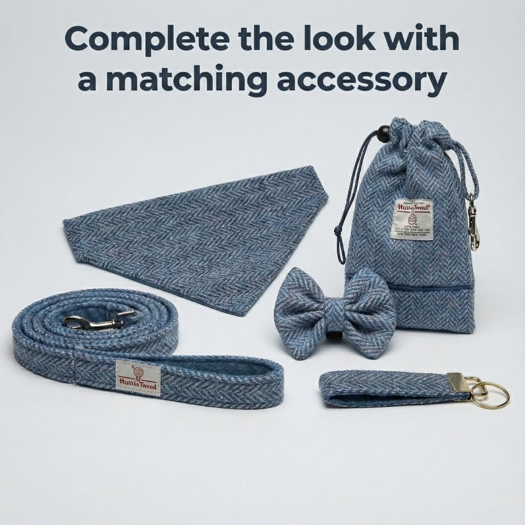 Blue Herringbone - Buckle Fastening Luxury Harris Tweed Dog Collar