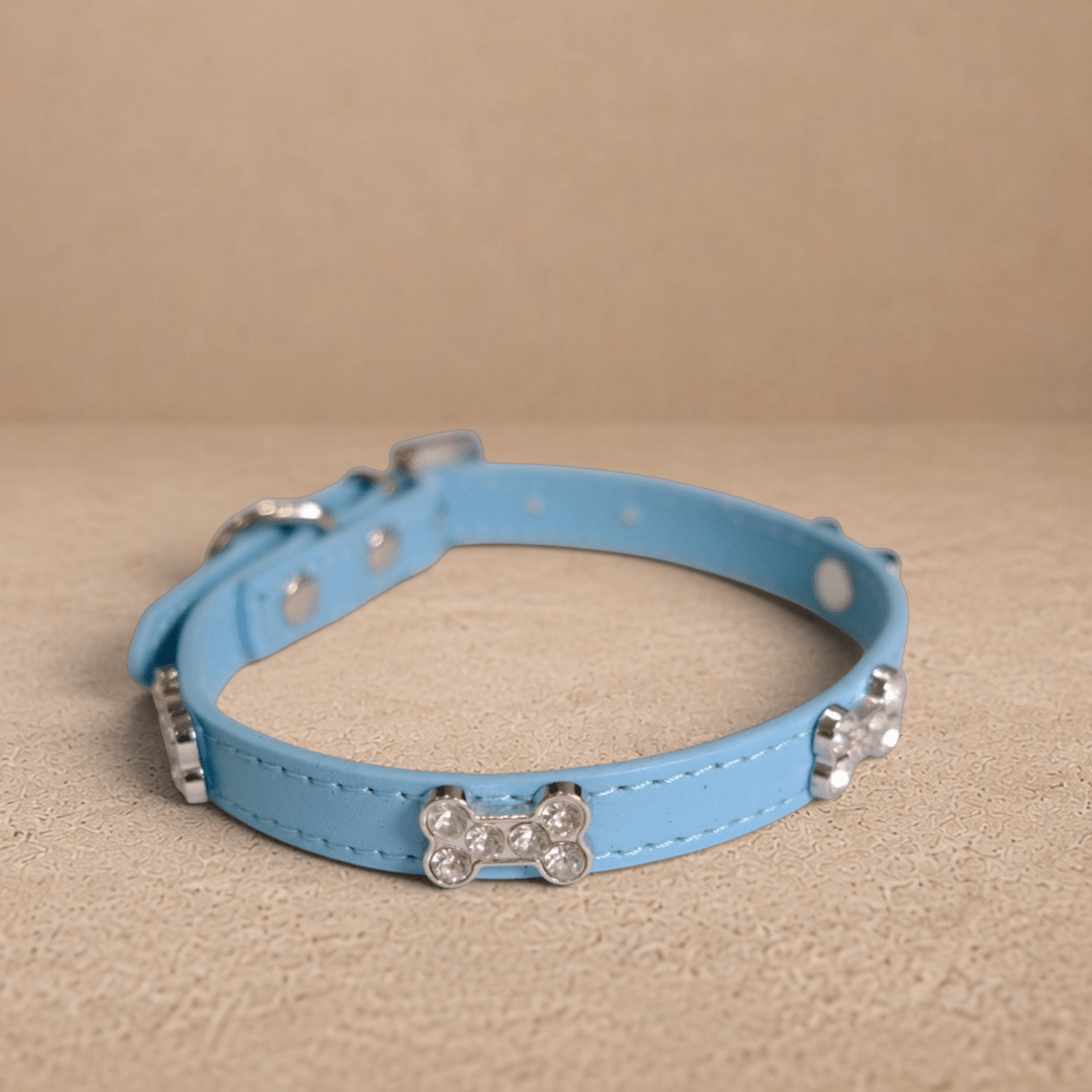 Blue Rhinestone Bone Dog Collar