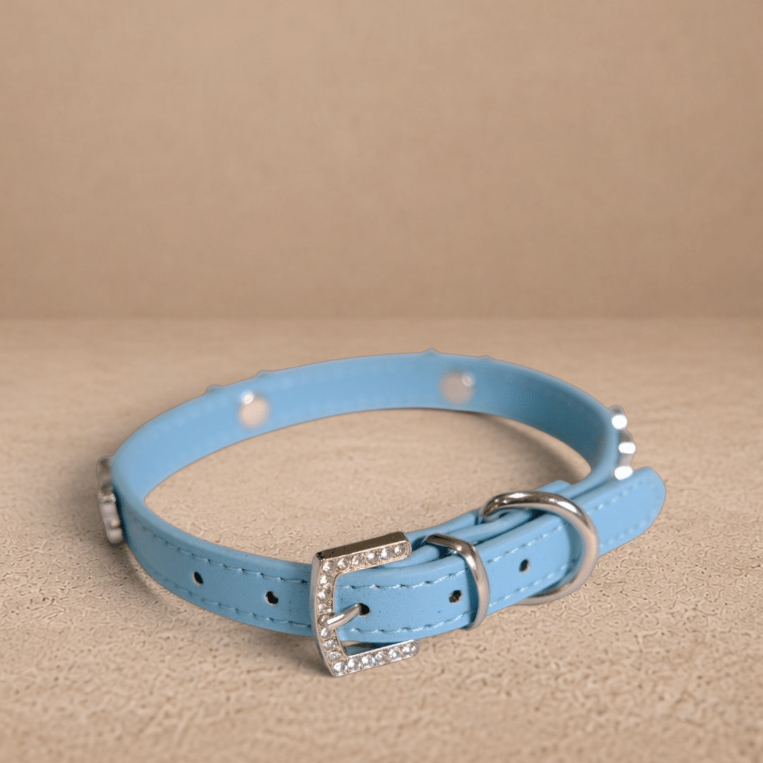 Blue Rhinestone Bone Dog Collar
