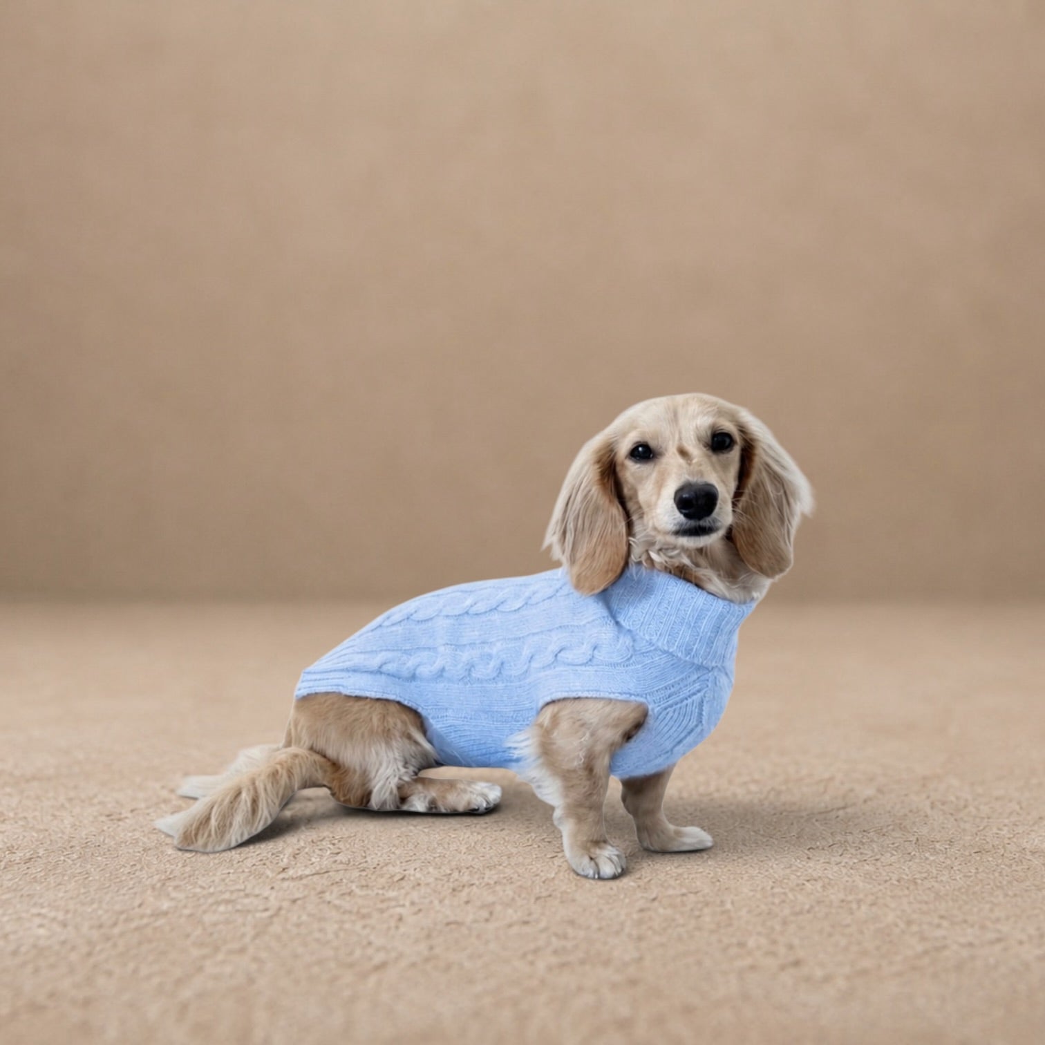 Cashmere Dog Jumper Cable Knit Blue