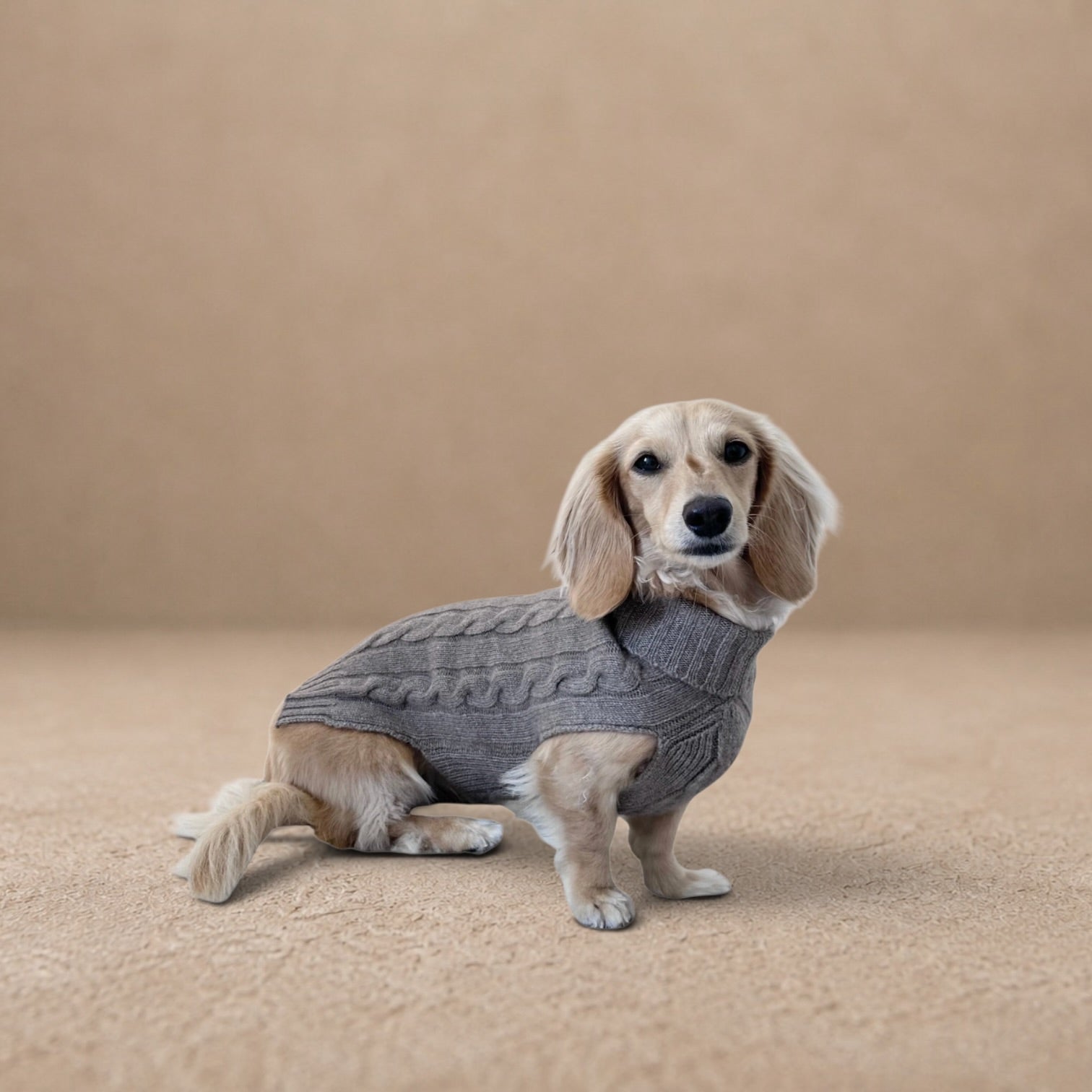 Cashmere Dog Jumper, Gray