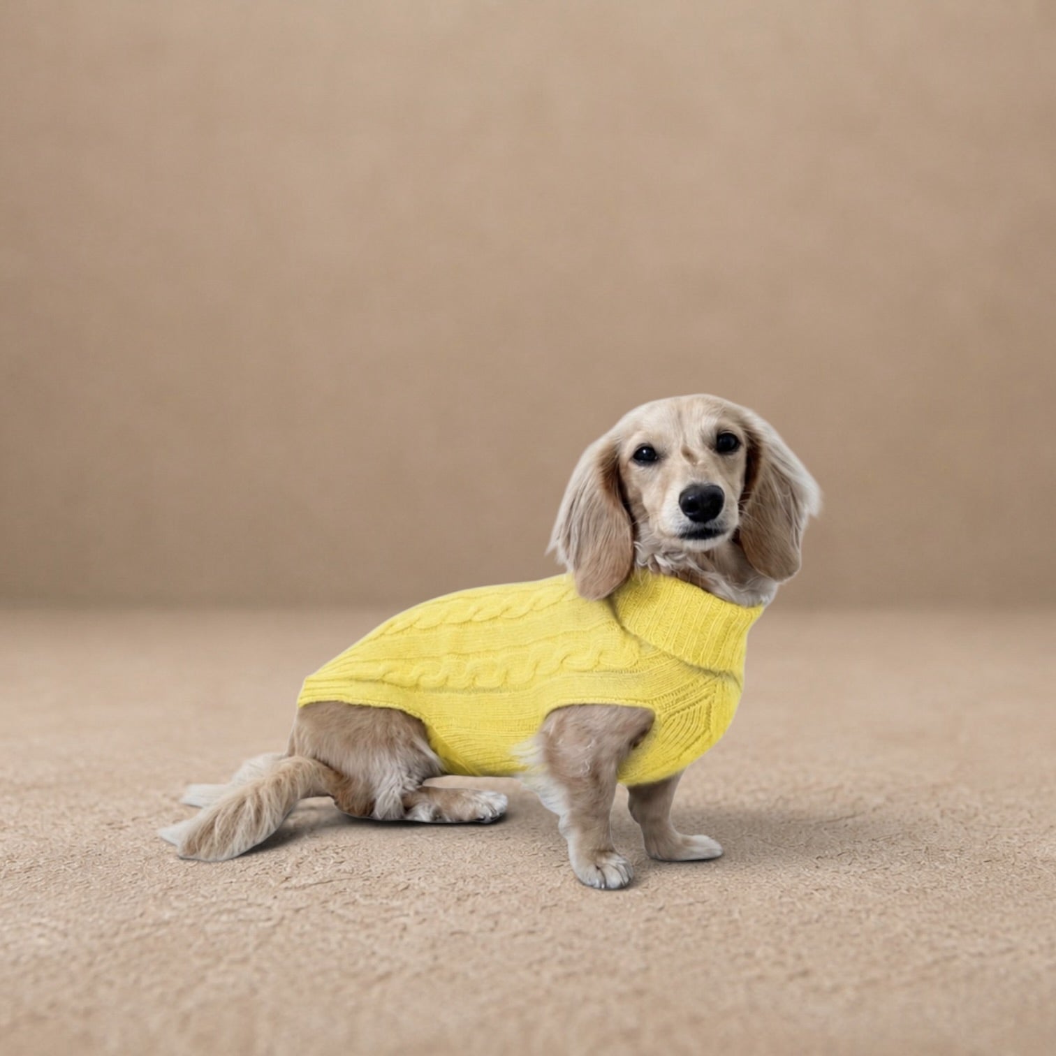 Cashmere Dog Jumper, Lemon Yellow