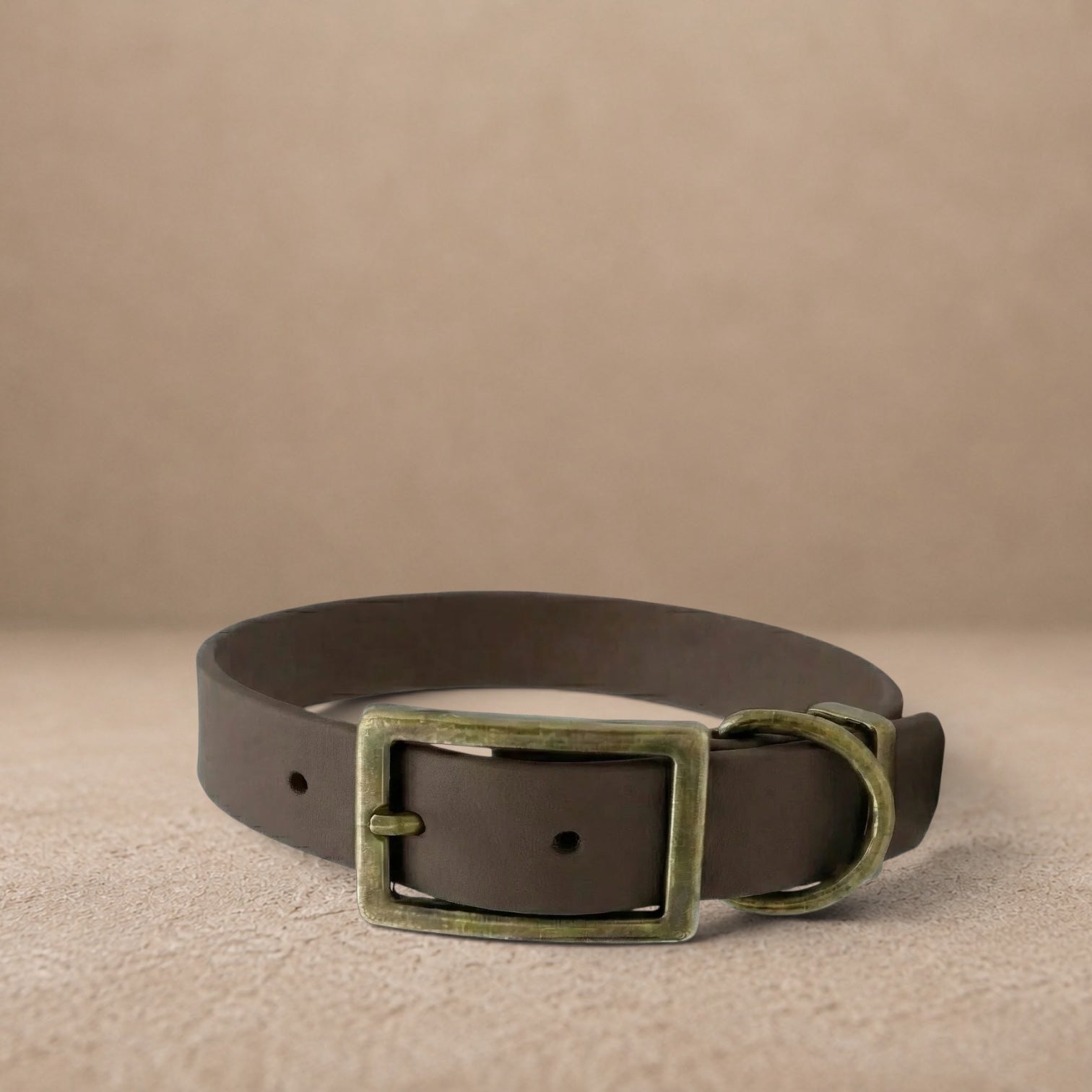 Dark Brown Waterproof Biothane Buckle Dog Collar