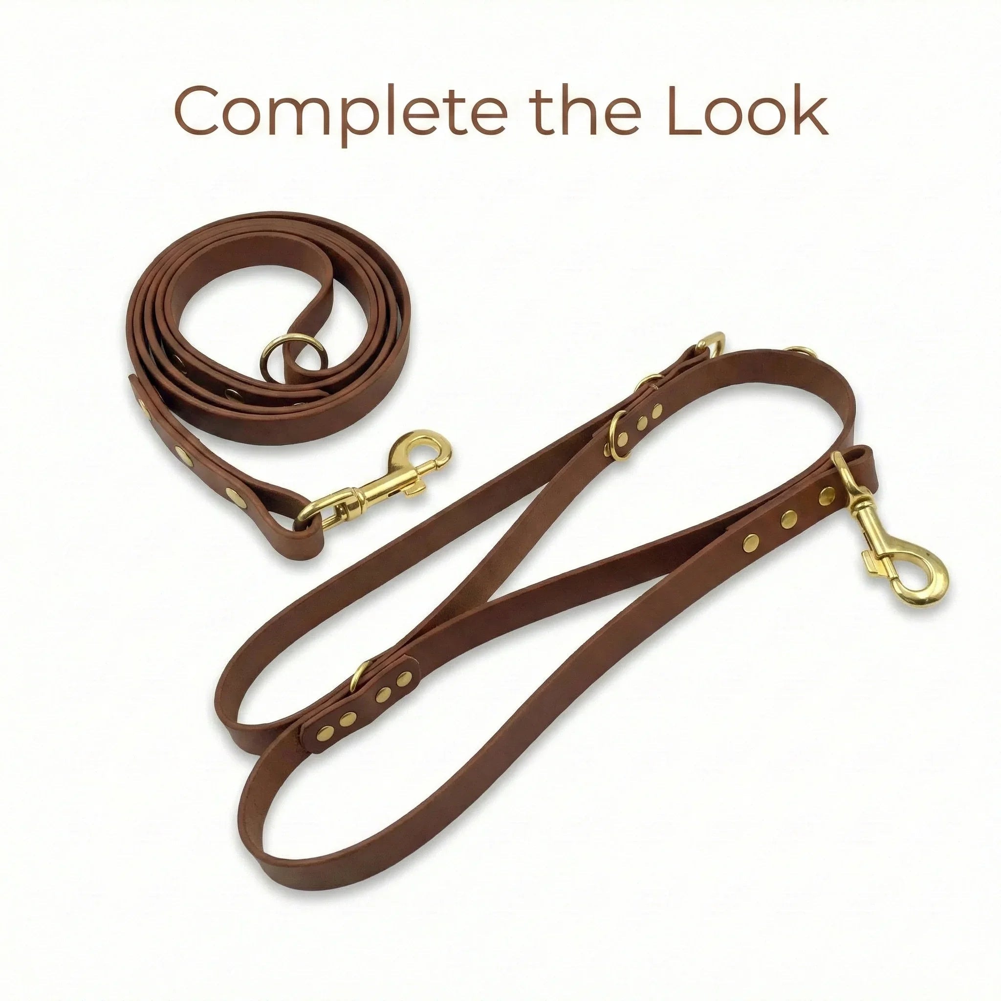 Dark Brown Waterproof Biothane Buckle Dog Collar