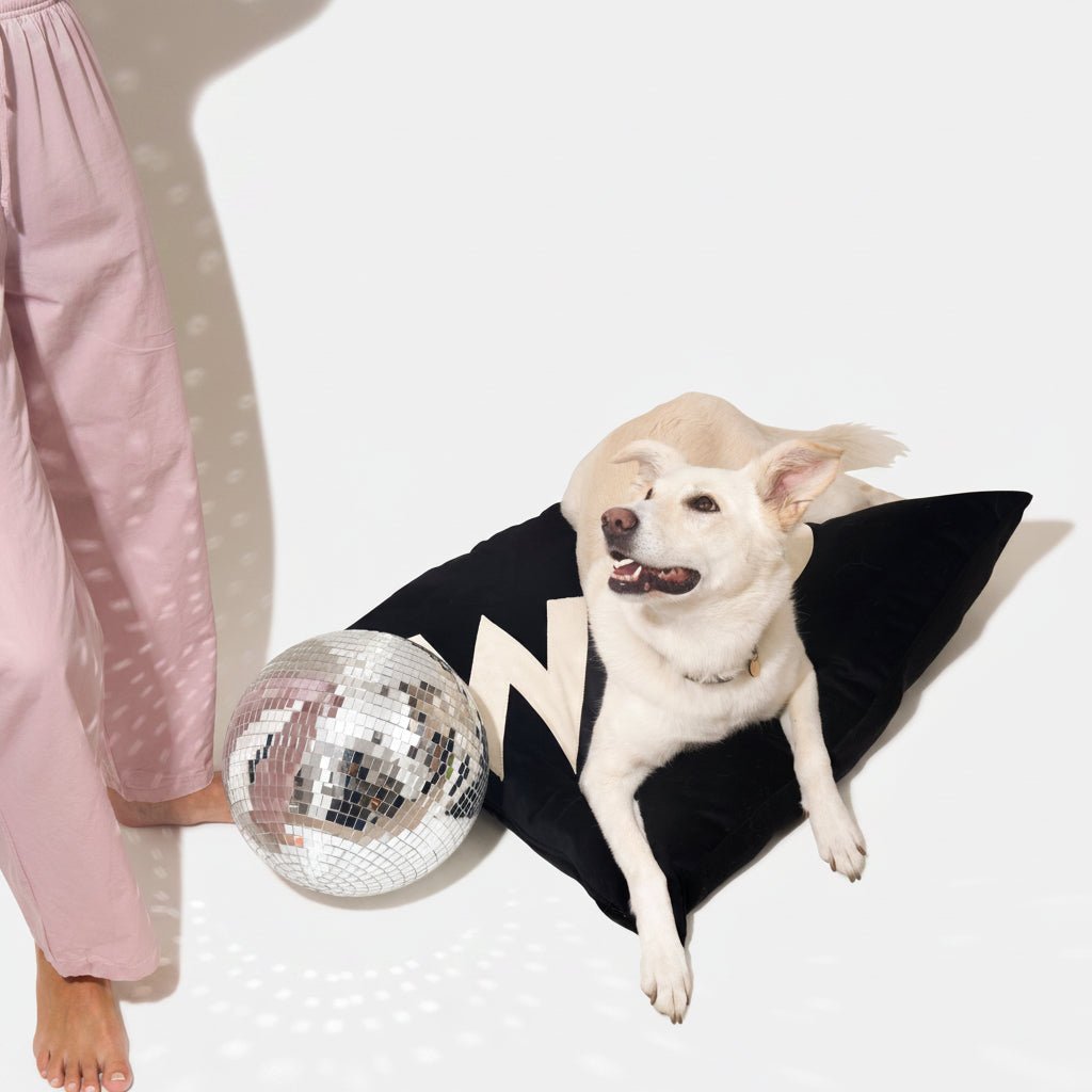 Dog Bed Big WOOF in Black Velvet