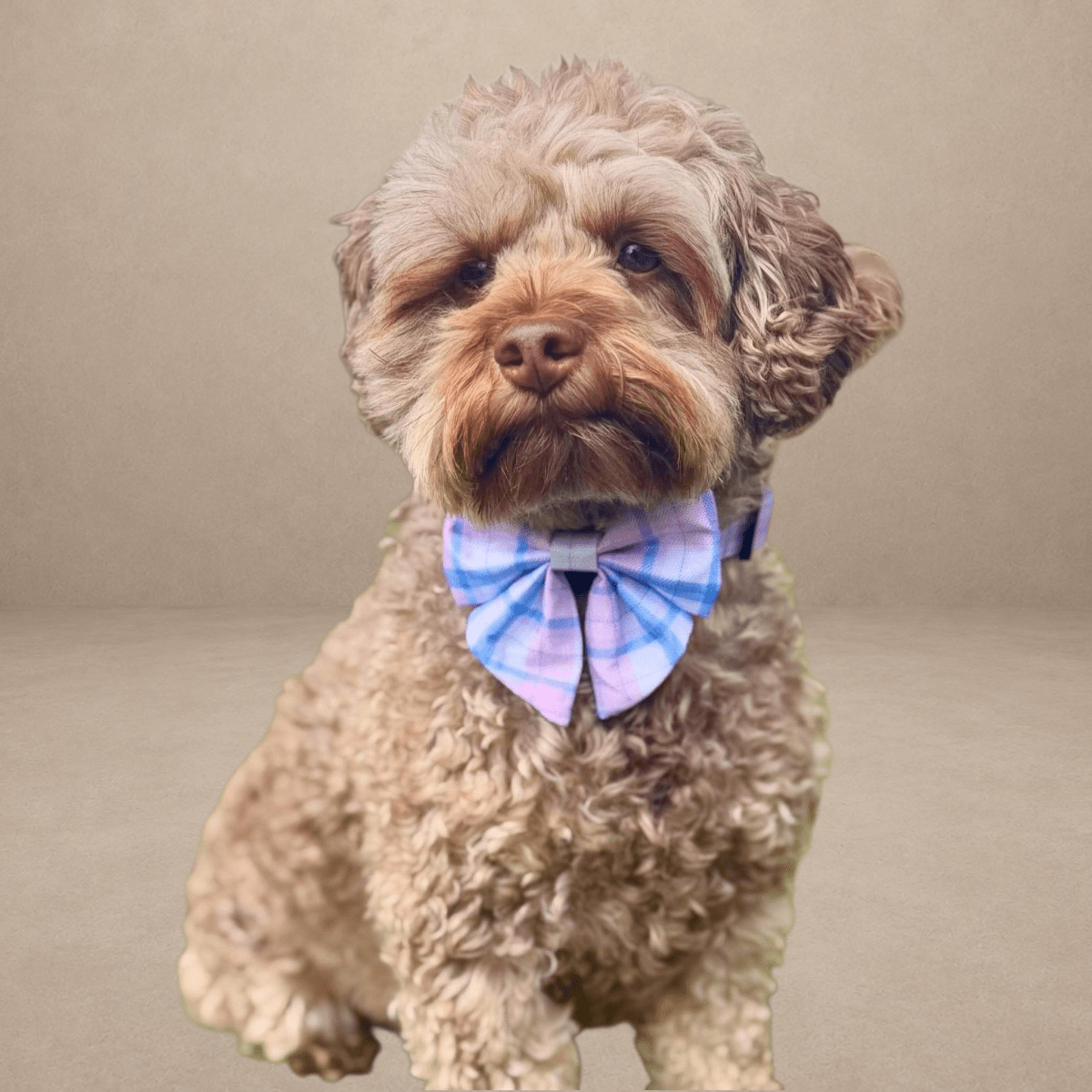 Dog Sailor Bow - Pink Tartan
