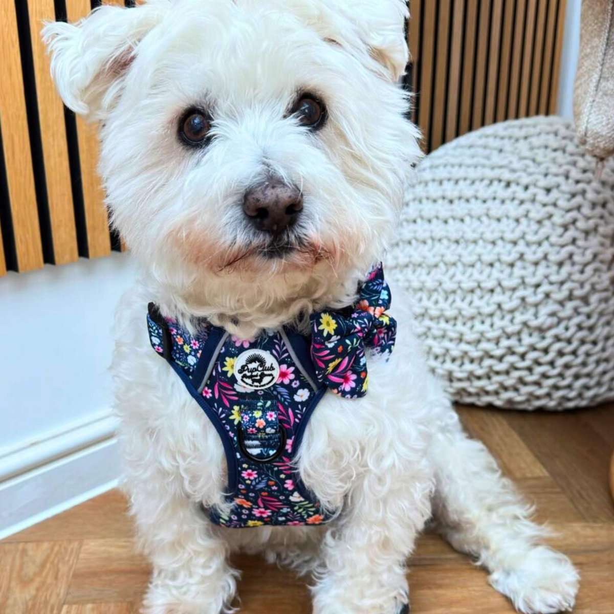 Dog Sailor Bow - Summer Meadow