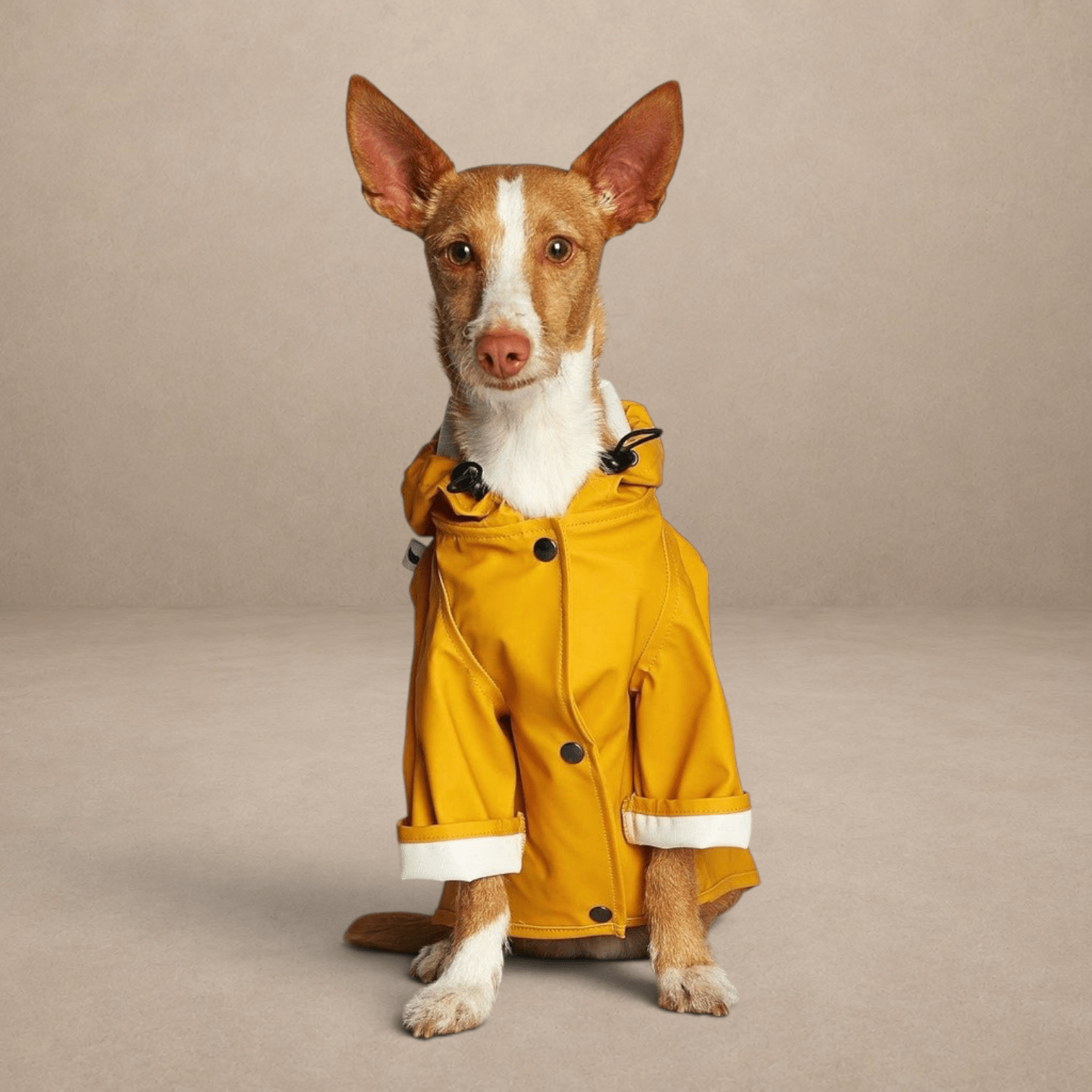 Eco-Friendly Sarah Raincoat - Recycled Ocean Plastic