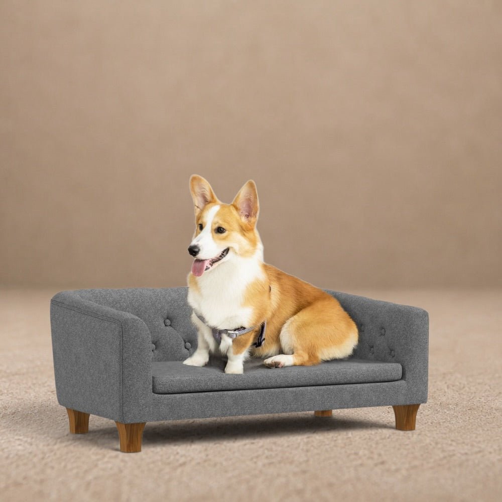 Elevated Dog Sofa Bed - Premium Quality Couch for Small, Medium Dogs - Soft Cushion - Grey