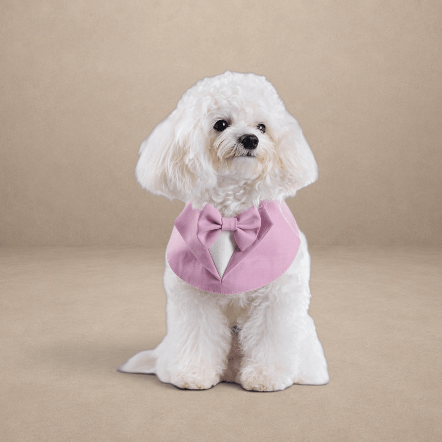 Gentleman - Blossom Bandana