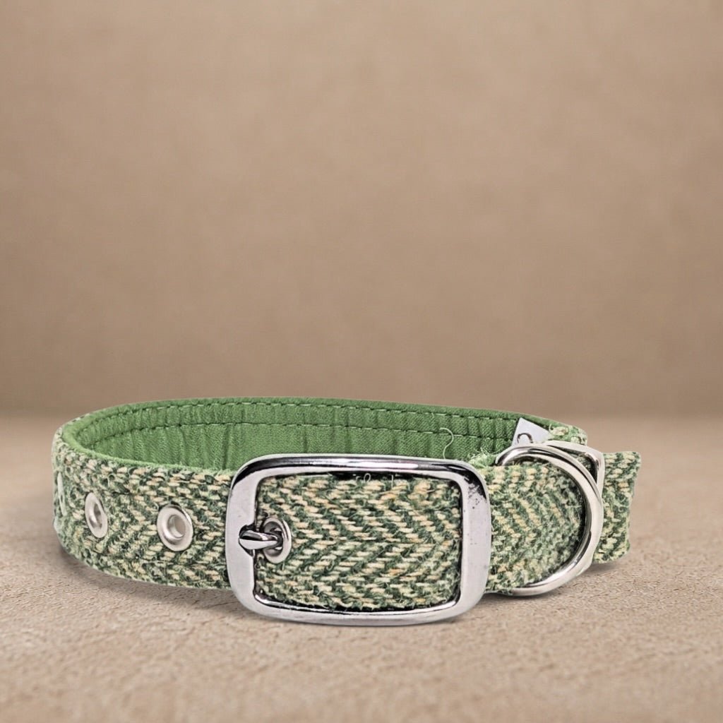 Green Herringbone - Buckle Fastening Luxury Harris Tweed Dog Collar