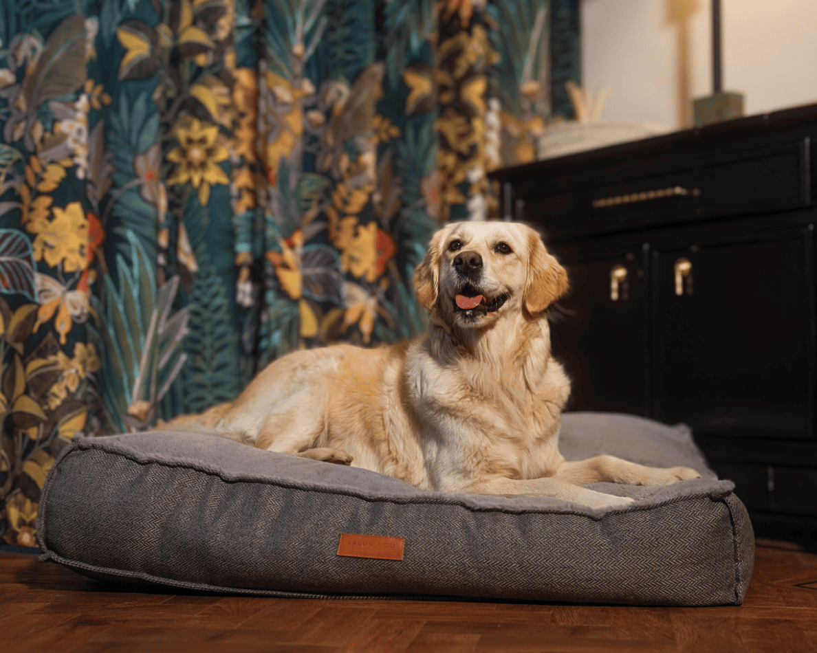 THE BALMORAL | LUXURY PILLOW BED