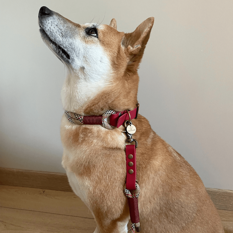 Kitsuné Tartan Red Paracord & Biothane Dog Collar