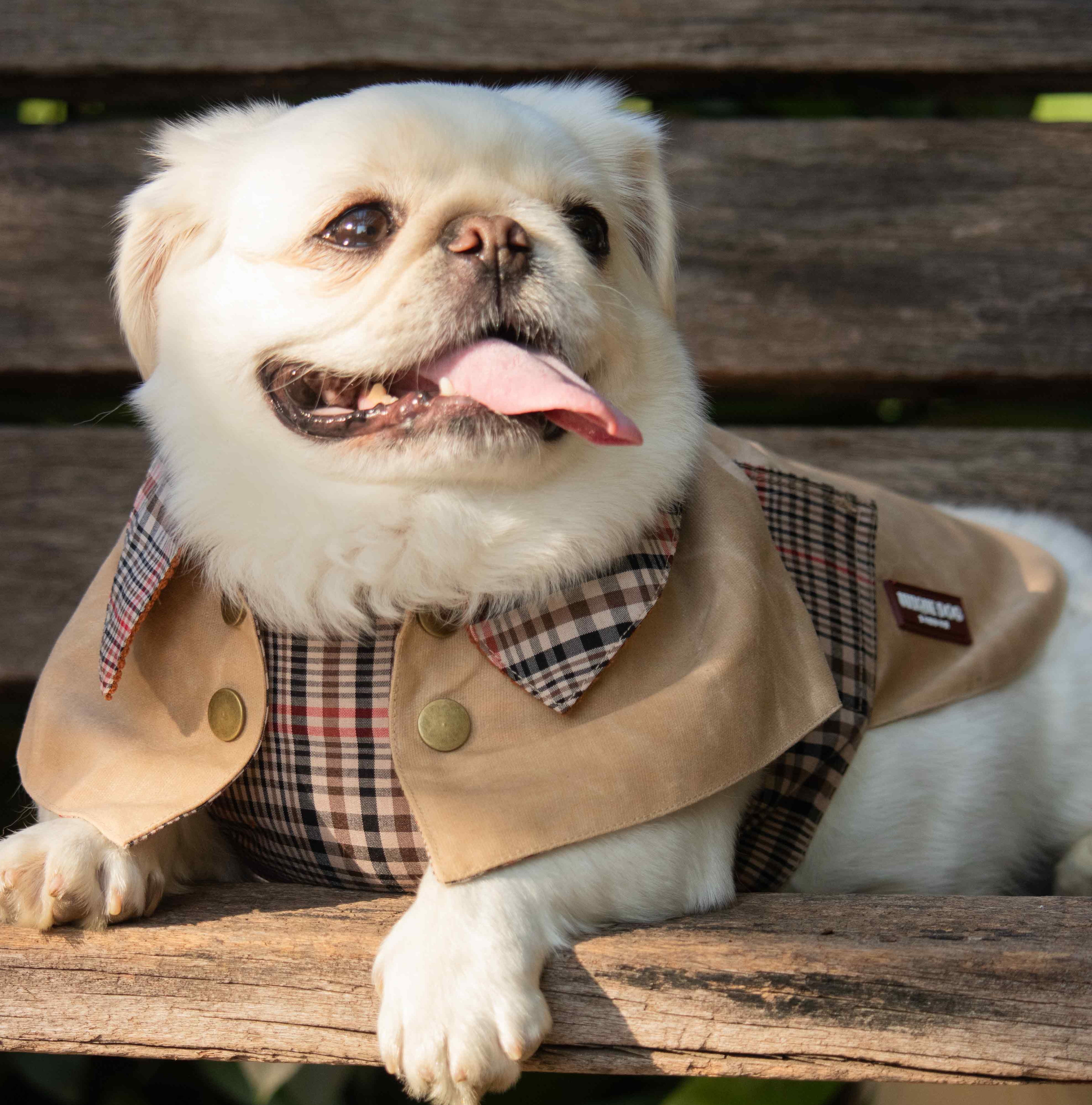 London Tailoring - The Regent Coat