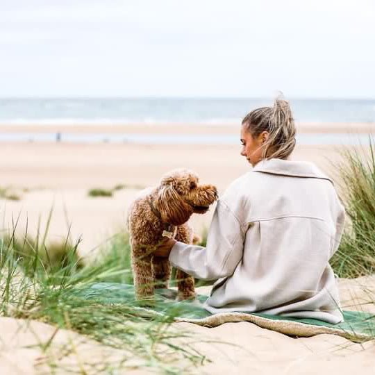 Luxury Washable Green Dog Blanket | Richmond