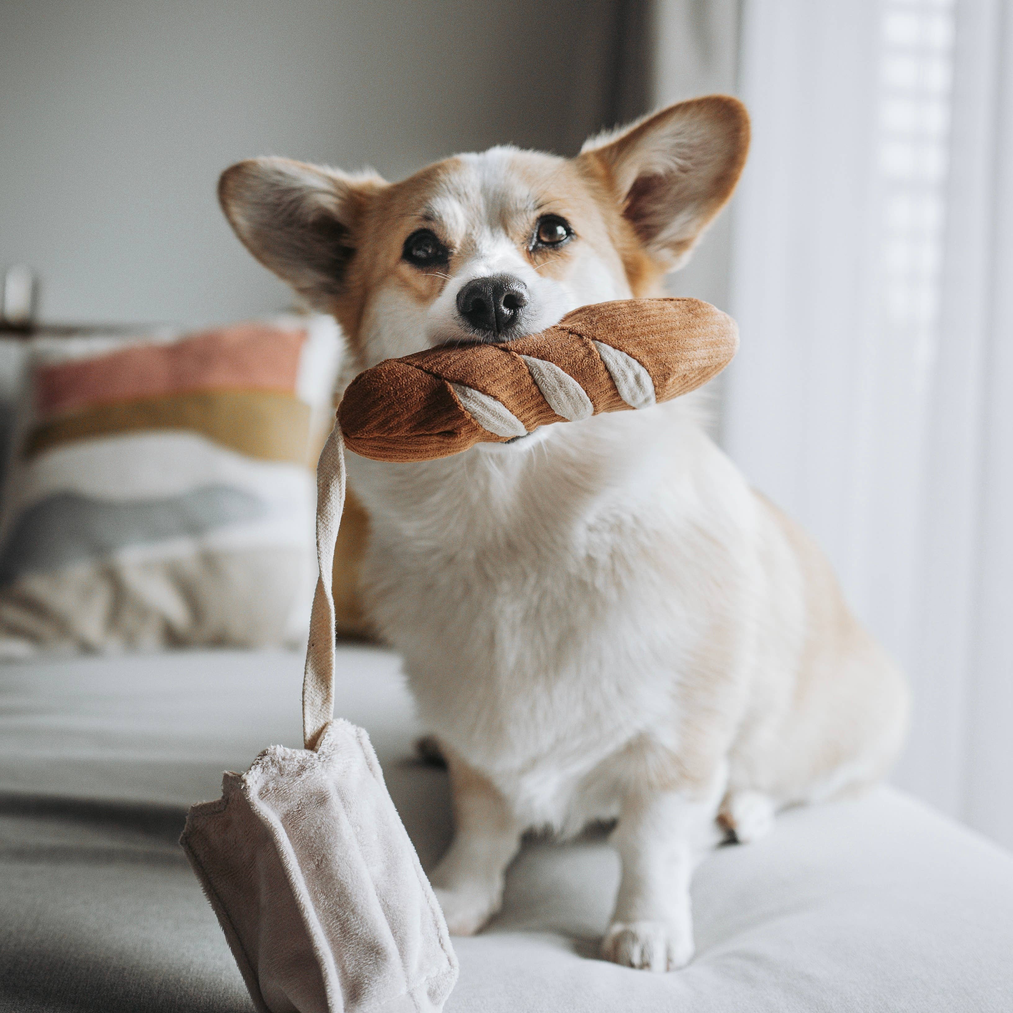 Mini Baguette enrichment dog toy