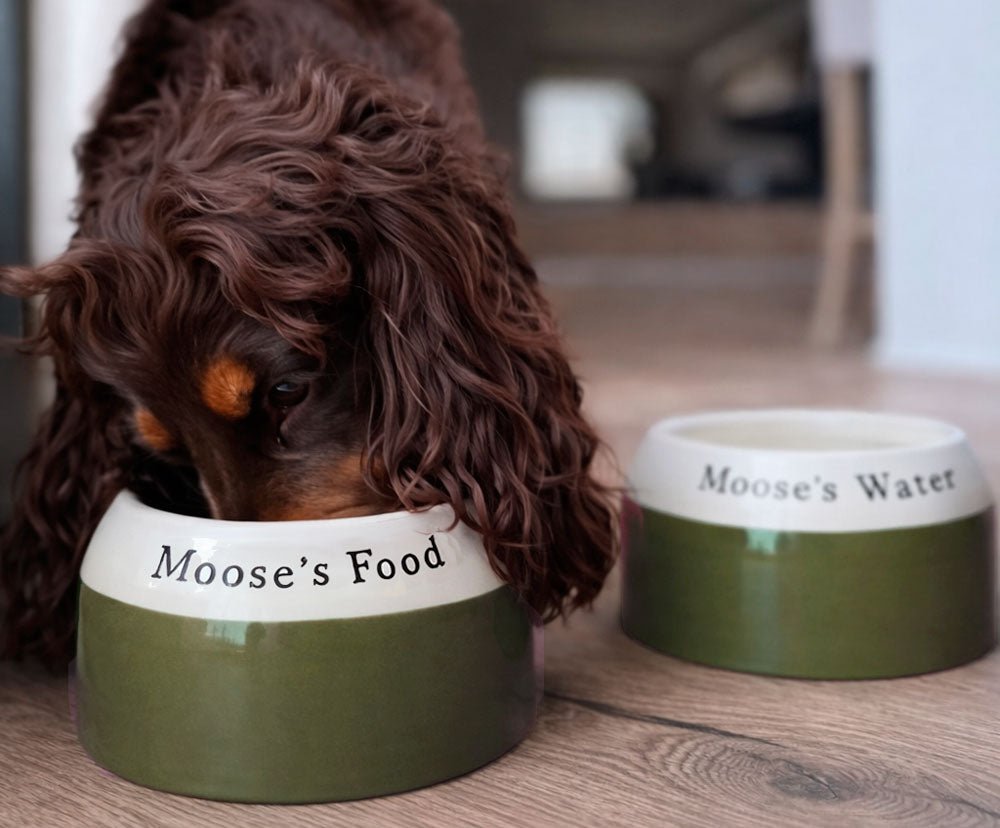 Personalised Ear - Free Cocker Spaniel Dog Bowl – Handmade Ceramic Bowl