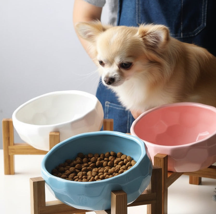 Pet bowl oblique mouth cat bowl food bowl dog bowl method bucket food bowl