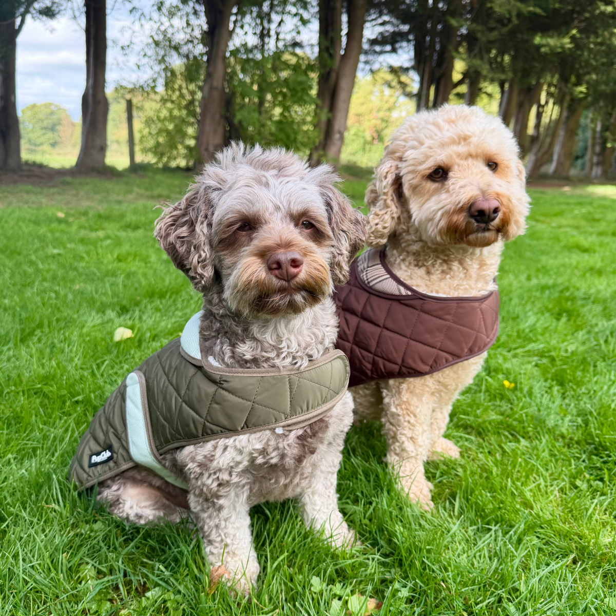 Quilted Dog Coat - Khaki Tweed