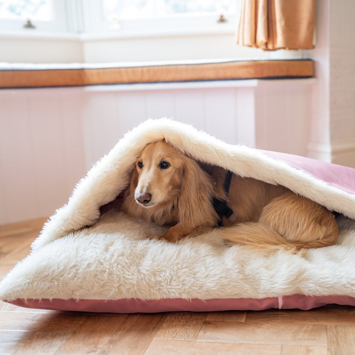 Rainfleece Waterproof Dog Design-a-Den Bed - Ready Made