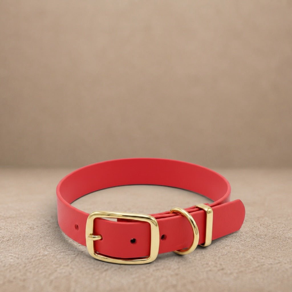 Red Waterproof Biothane Buckle Dog Collar