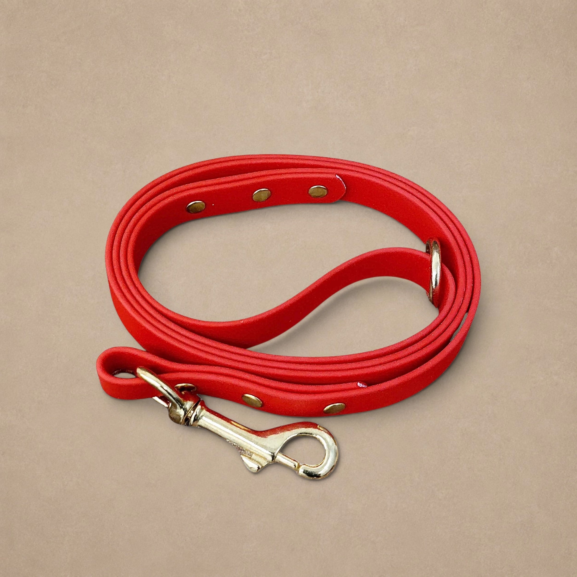 Red Waterproof Biothane Dog Lead