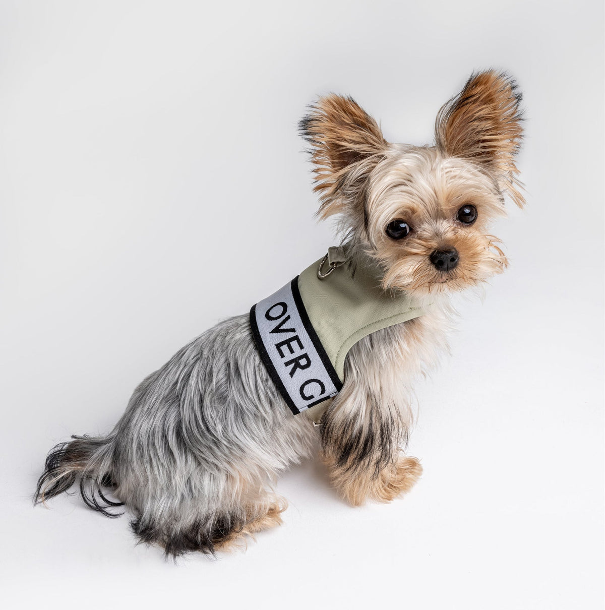 Ribbon Pastel Harness