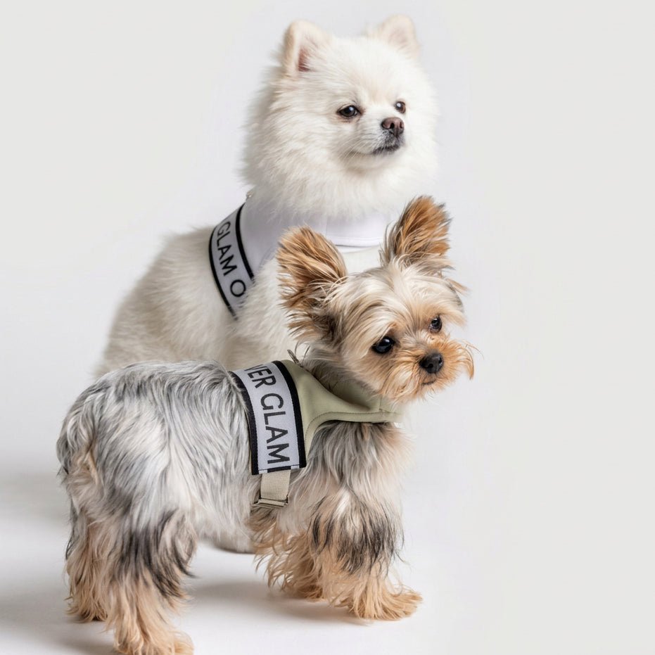 Ribbon Pastel Harness