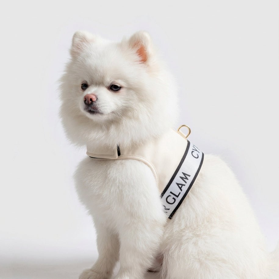 Ribbon Pastel Harness