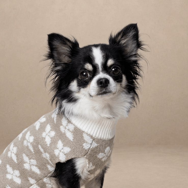 Sleeveless Floral Textured Jumper