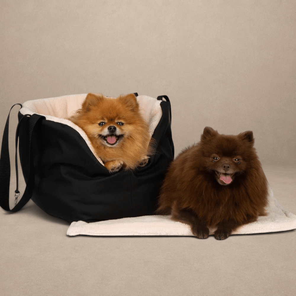 Soho Poms Black & Pink Luxury Rainy Bear Dog Carrier