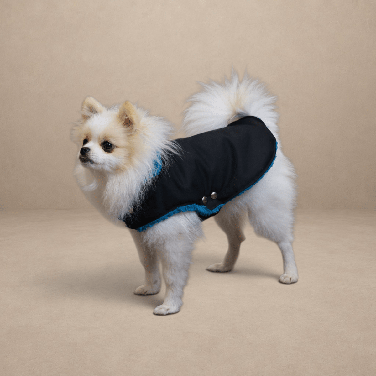 Soho Poms Black & Teal Teddy Bear Waterproof Dog Jacket