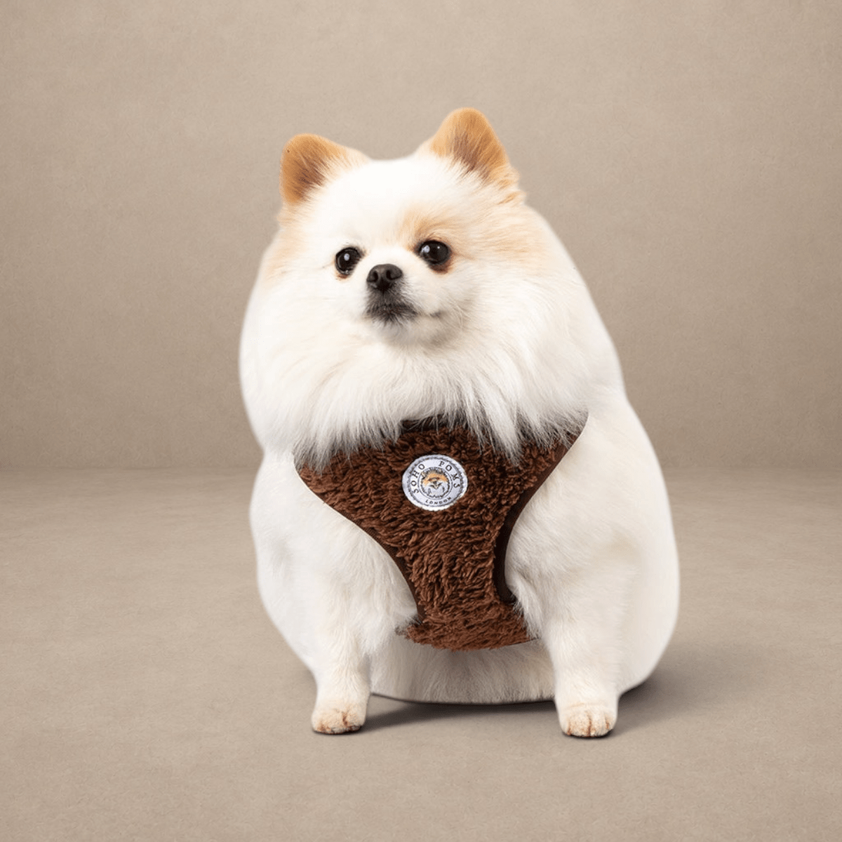 Soho Poms Carnaby Harness - Cocoa Bean