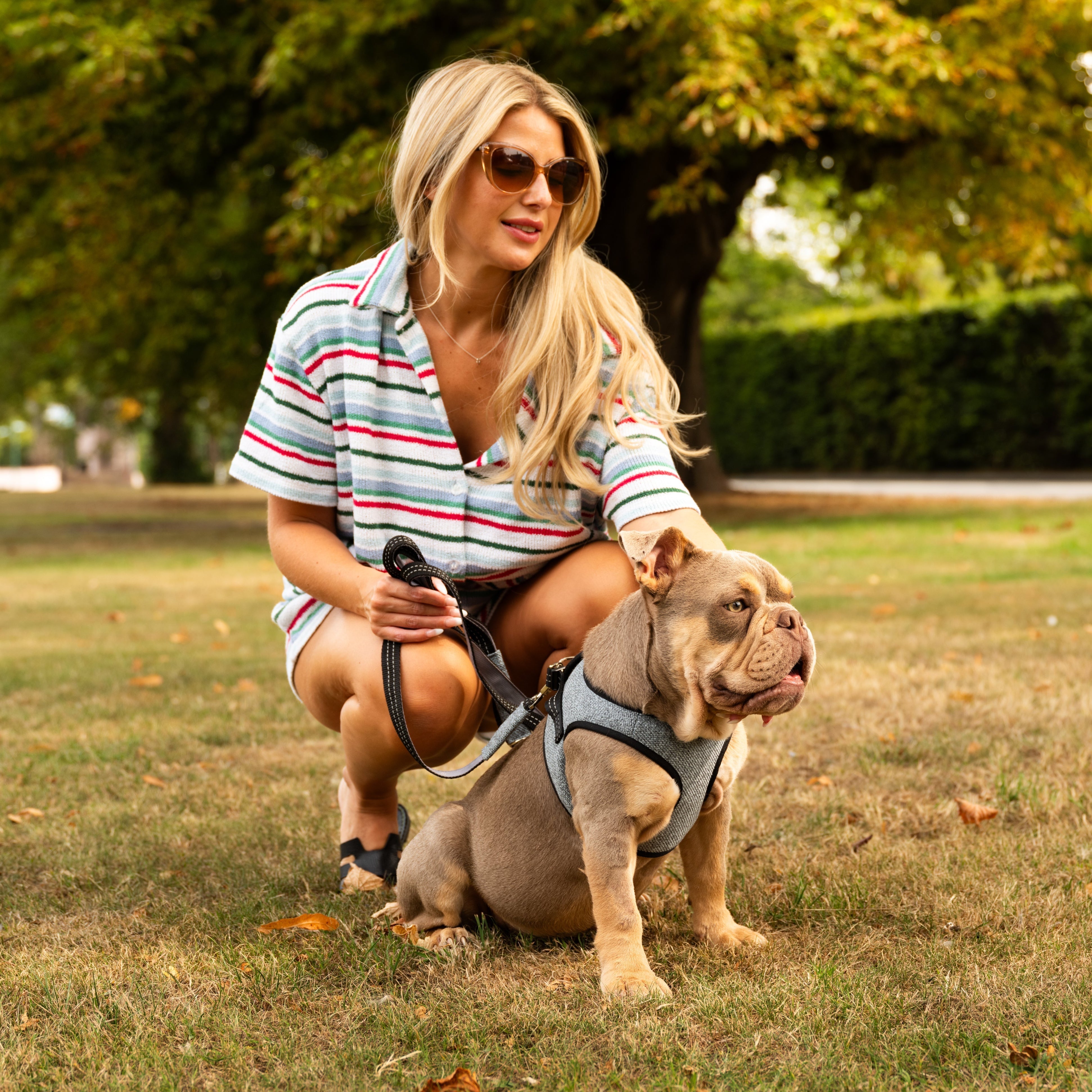 Soho Poms x Bowl & Bone Republic Mayfair Harness - Ocean