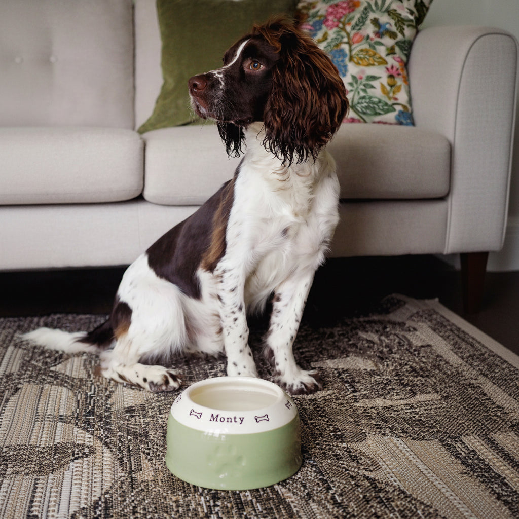Springer Spaniel Bowl