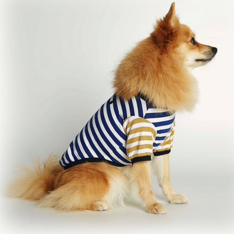 Striped T-Shirt - Portuguese Cotton