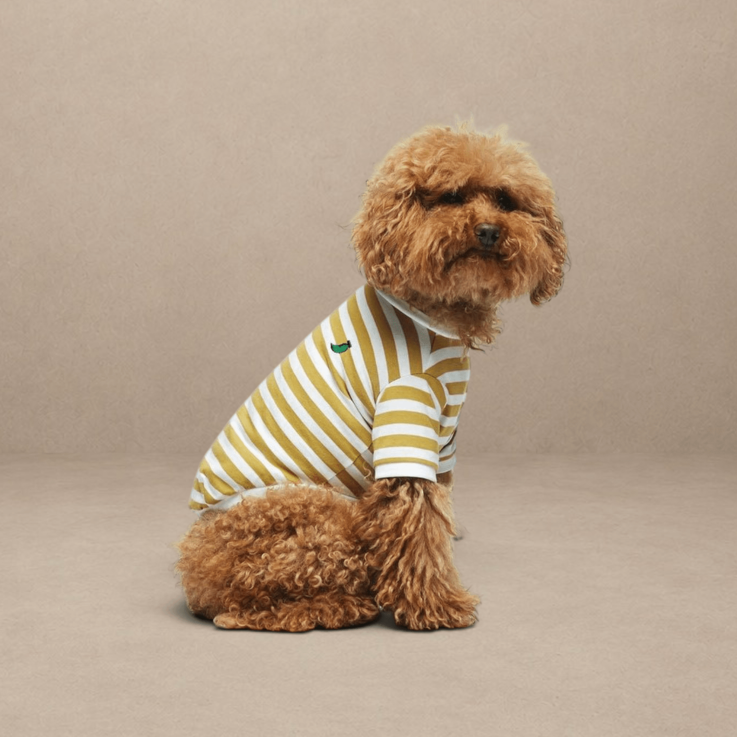 Striped T-Shirt - Portuguese Cotton