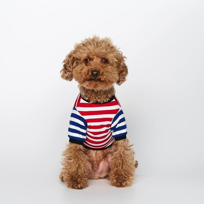 Striped T-Shirt - Portuguese Cotton