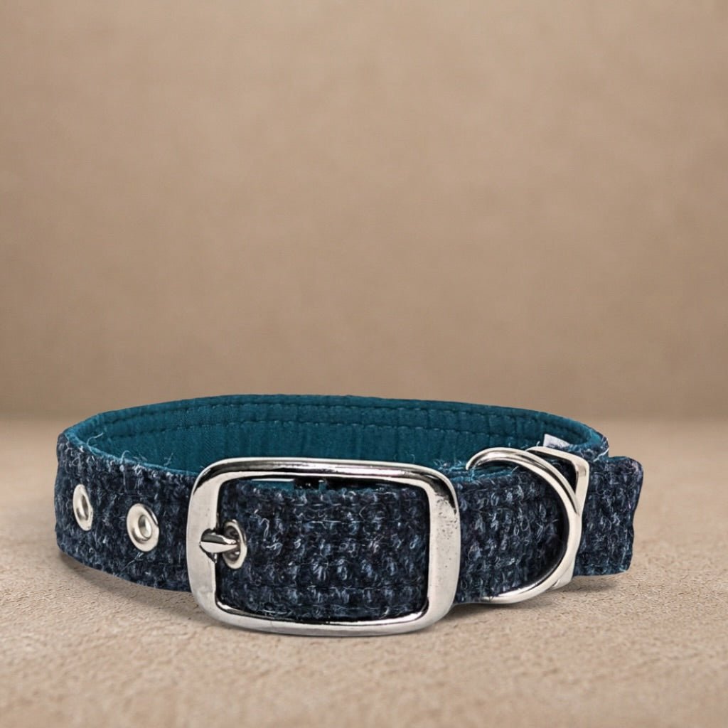 Teal With a Touch of Blue - Buckle Fastening Luxury Harris Tweed Dog Collar