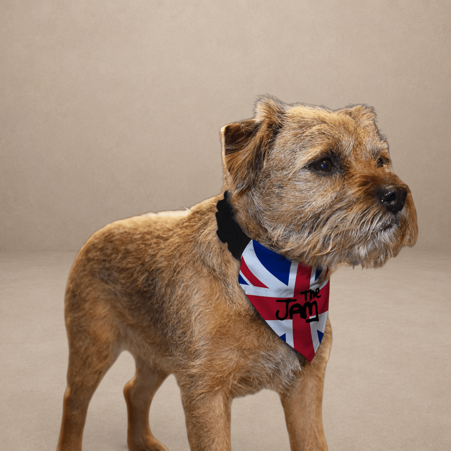 The Jam - Dog Bandana - 4 Sizes