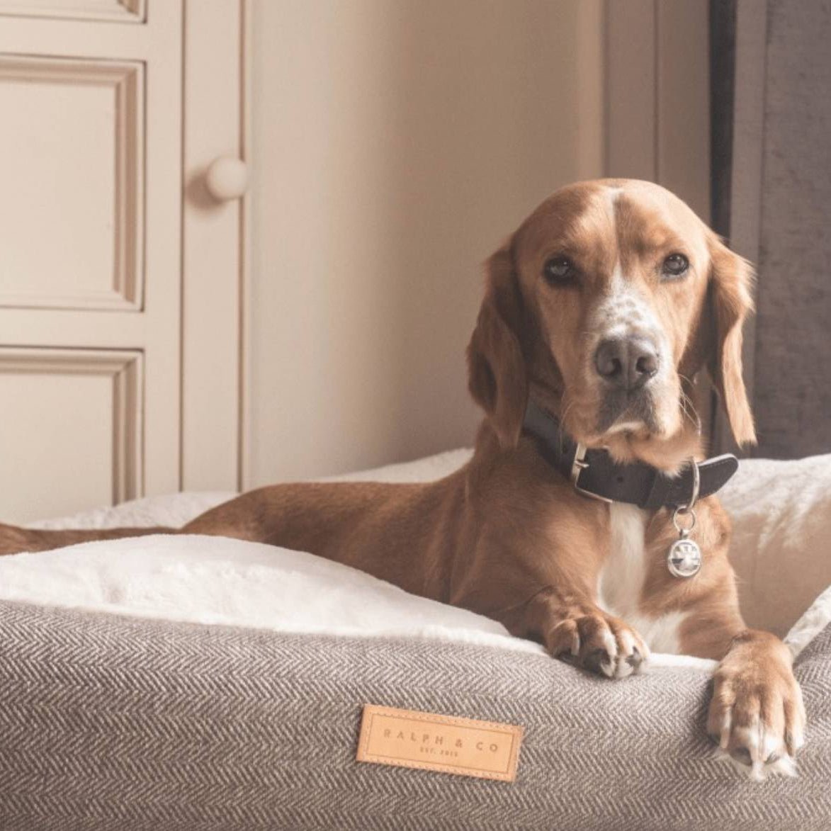The Lincoln | Luxury Tweed Bed